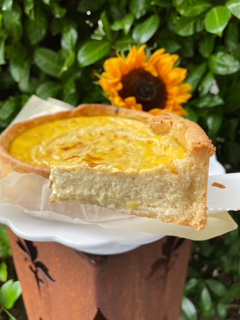 Goldener elsässer Käsekuchen: besonders cremig und zitronig Speedelicious