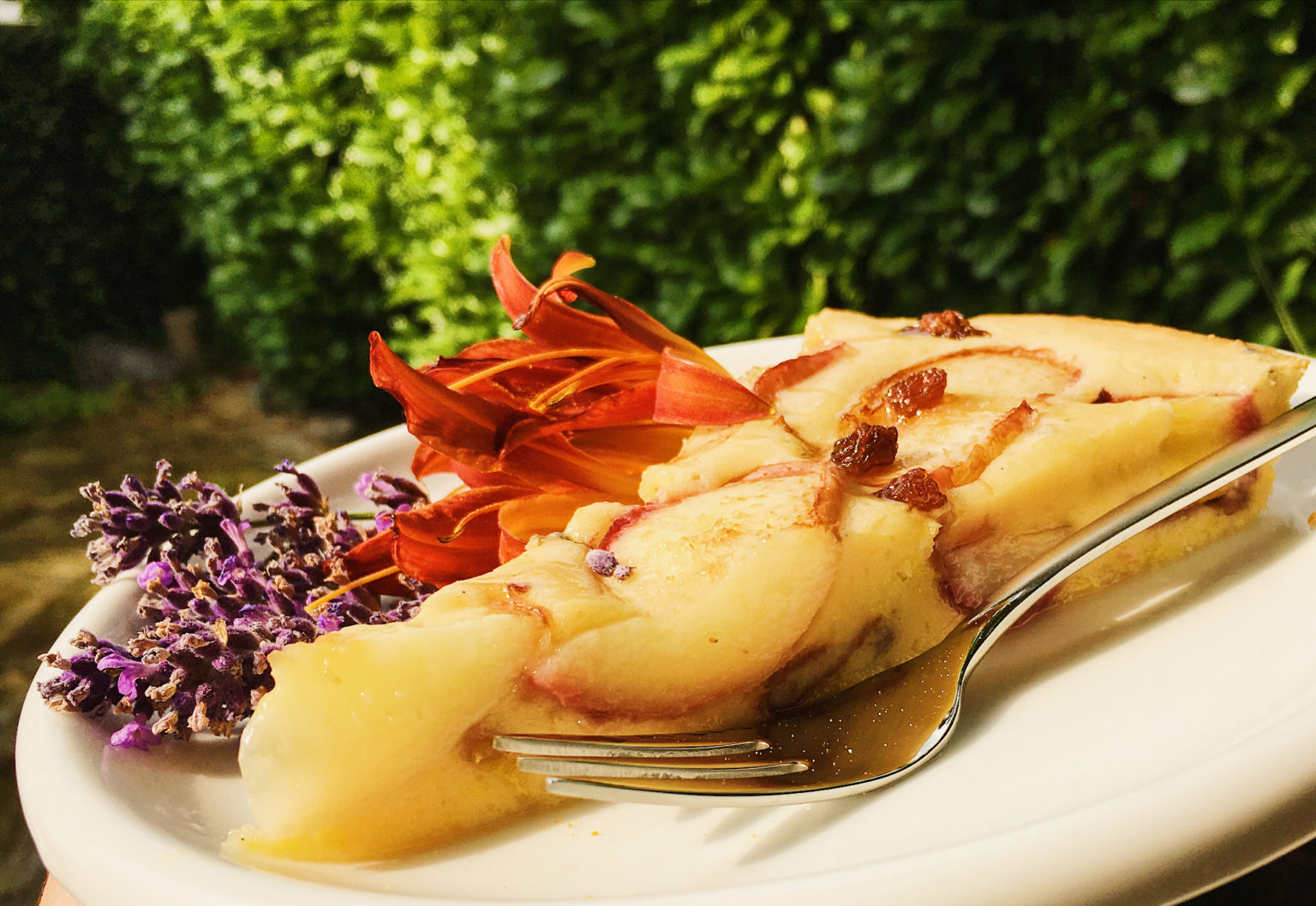 Petits pains rustiques: Rustikale Brötchen – Speedelicious