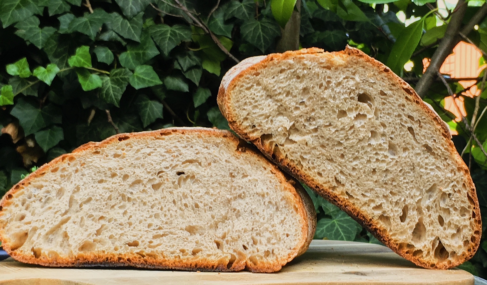 Pain au levain maison: hausgemachtes Sauerteigbrot für Toastfans ...