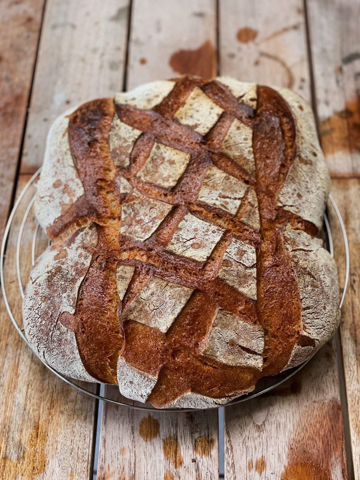 Elsässer Käsekuchen – Speedelicious